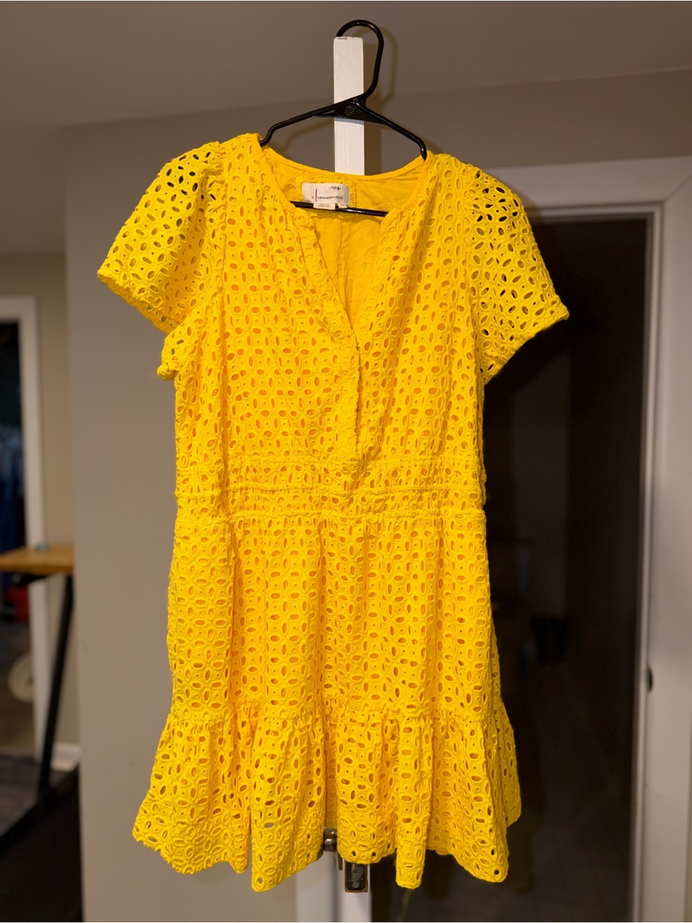 Anthropologie Somerset Yellow Eyelet Short Sleeve Mini Dress - 1X